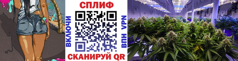 Купить закладку Конопля  Альфа ПВП  ГАШ  Меф мяу мяу  Великий Устюг