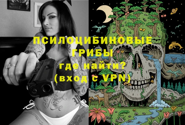 первитин Козельск