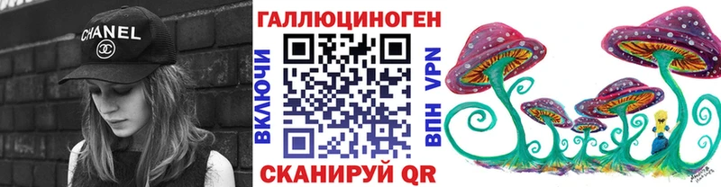 Псилоцибиновые грибы Psilocybe  Купить  Великий Устюг 
